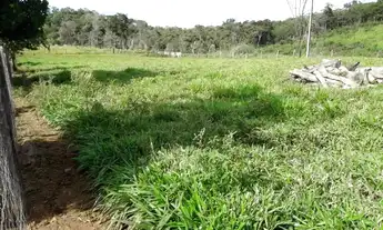 Imagem 3: Fazenda 45 alqueires A 58 km de Palmas