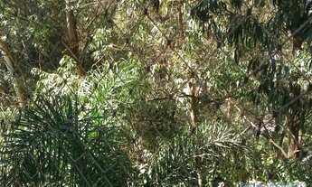 Imagem 7: APARTAMENTO - MORUMBI - SP