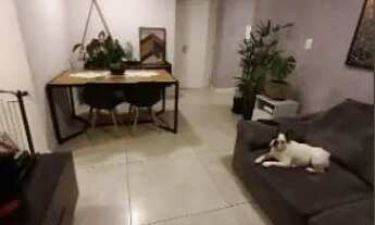 Imagem 4: Apartamento a Venda na Vila Matilde Próximo ao Metrô