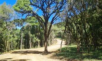Imagem: Imóveis Altos da Serra lt br gt -Terreno