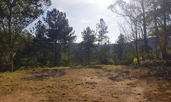 Imagem 6: Super oportunidade casa nova 1 km da rodoviá