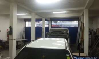 Imagem 5: GALPÃO - CIDADE ADEMAR - SP