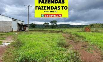 Imagem 5: Fazenda a venda dupla aptidão em Luzimangues Tocantins