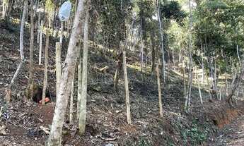 Imagem 6: Vendo 2 terrenos Itaipava