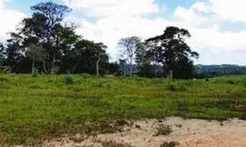 Imagem 6: LOTES NO INTERIOR DE SÃO PAULO: OPORTUNIDADE IMPERDÍVEL!