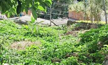 Imagem 6: Terreno Bairro Morro do Abrigo