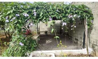 Imagem 7: Apartamento semi mobiliado no Cond. Pequias