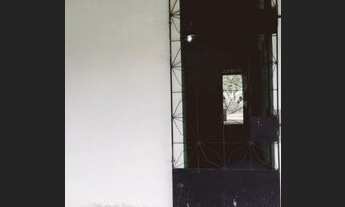 Imagem 6: Quer tranquilidade compra meu Sítio mangueira coqueiro entre outras plantas frutíferas