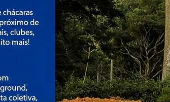 Imagem: Terrenos a beira do asfalto próximo do