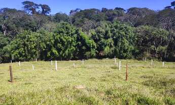 Imagem 2: LL-Vende-se terreno, aceito proposta