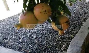 Imagem 7: Casa Averbada Cordeiros Parte Alta