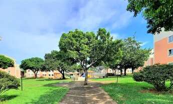 Imagem 6: LONDRINA - Padrão - Coliseu