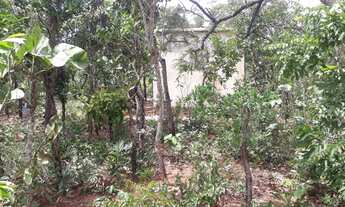 Imagem 6: Aluga-se Casinha no Mato!