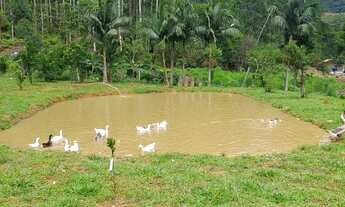 Imagem 5: Vendo Chácara com venda por R$1.400.000