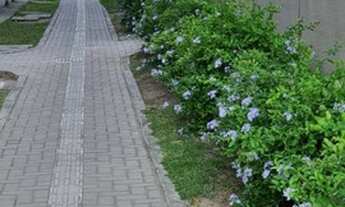 Imagem 5: APARTAMENTO PARA LOCAÇÃO