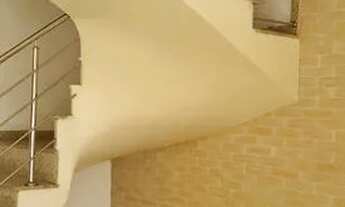 Imagem 3: Aluga-se Sobrado