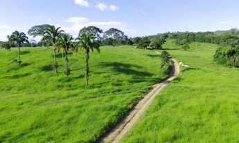 Imagem: Vende-se Fazenda de 85 alqueires em Santa