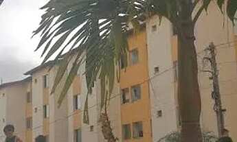 Imagem 5: Show! AP na general Arthur Carvalho alugo