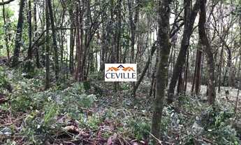 Imagem 5: Lote de 5000 m², Pasárgada