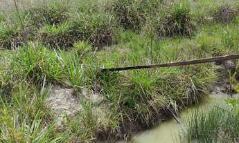 Imagem 3: Vendo chácara 2 mil metros saída para monte Alegre de minas