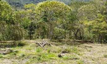 Imagem 5: Grande terreno no Loteamento da Quiaca