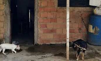 Imagem: Vende-se uma casa bairro Tapanã valor 25000.vinte