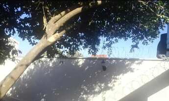 Imagem 5: Casa em areias Casa com 3 dormitórios