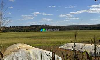Imagem 3: FAZENDA À VENDA - 165 HECTARES - REGIÃO DE CURVELO (MG