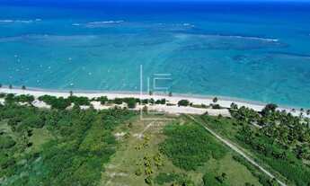 Imagem 3: Área de 30.000m² com 100 metros de frente para o mar em São Miguel dos Milagres-AL