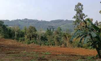 Imagem 5: Área de terra a venda em Nova Petrópolis.RS Ref.:11