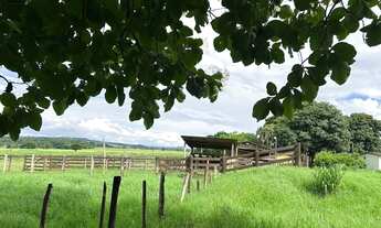 Imagem 4: Fazenda a venda em Trindade / Goiás!!!