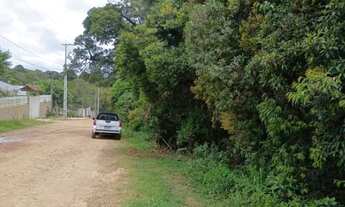 Imagem 4: TERRENO SÃO JOSÉ DOS PINHAIS