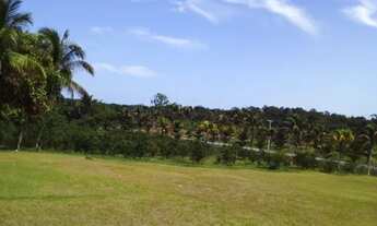 Imagem 3: Sítio 300 x 1.100 na am 010 km 83 Rio Preto da Eva 1.700.000