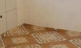 Imagem 3: ALUGO CASA DOS FUNDOS