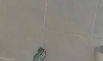 Imagem 5: Sala comercial em uma das avenidas mais importantes de Ubatuba