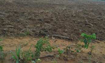 Imagem: Vendo fazenda em Araguaina-TO 80 alqueirões
