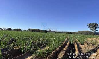 Imagem 2: Fazenda de 605 hectares à venda - Ibaté