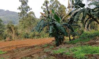 Imagem 7: Área de terra a venda em Nova Petrópolis.RS Ref.:11