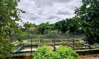 Imagem 5: Chácara à venda a 16km do centro de Goiânia