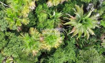 Imagem 4: Chácara Paradisíaca: 7 Hectares, Rio Canjira, Pomar Irrigado e Energia