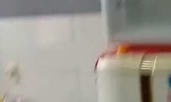 Imagem 2: Helena Daniel de Oliveira