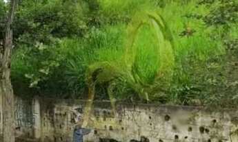 Imagem 3: OTIMO LOTE EM FRENTE AO PARQUE VILLA-LOBOS
