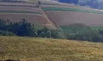 Imagem 6: Se a cidade te cansa, o campo te renova escolha mudar!