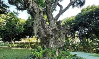 Imagem 6: Apartamento à venda no ACUPE DE BROTAS, SALVADOR - BA , ACUPE DE BROTAS, Salvador, BA