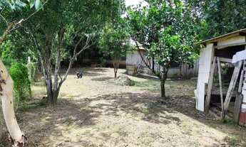 Imagem 3: Linda chácara a venda