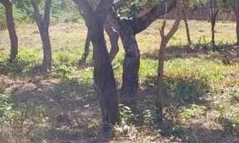 Imagem 3: Terreno para Venda em Cuiabá, Parque Atalaia