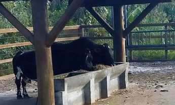 Imagem 3: CONDOMÍNIO FAZENDA REAL 1 [27726