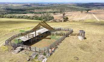 Imagem 6: Excelente fazenda a venda na região de Sorocaba-SP
