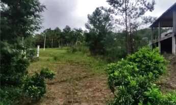 Imagem 2: Terreno na Serra Gaúcha