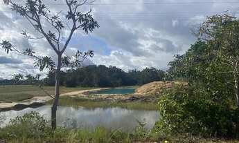 Imagem 6: Lote para sítio/chácara